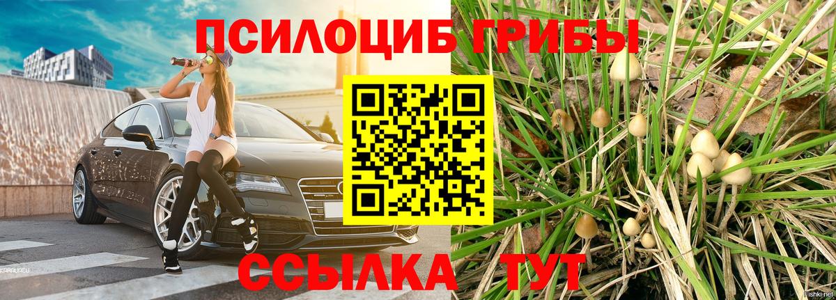 Псилоцибиновые грибы ЛСД  Вход с VPN  купить наркотики цена  Бутурлиновка 
