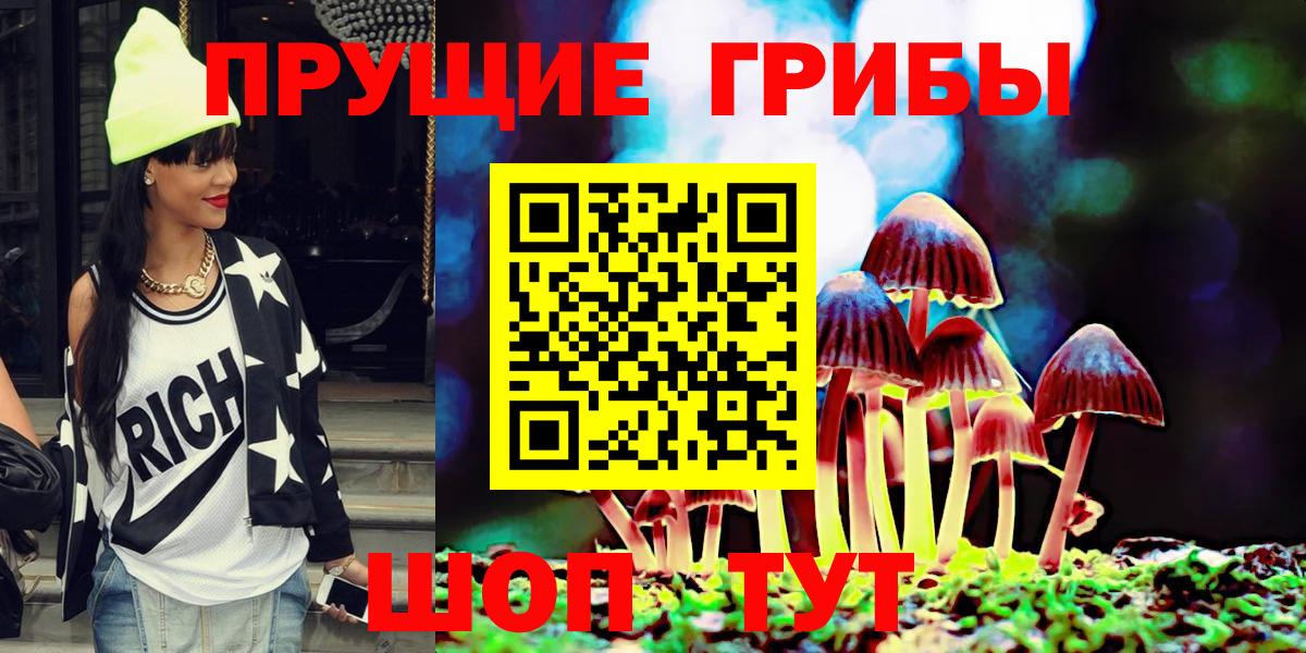 Псилоцибиновые грибы Cubensis Бутурлиновка